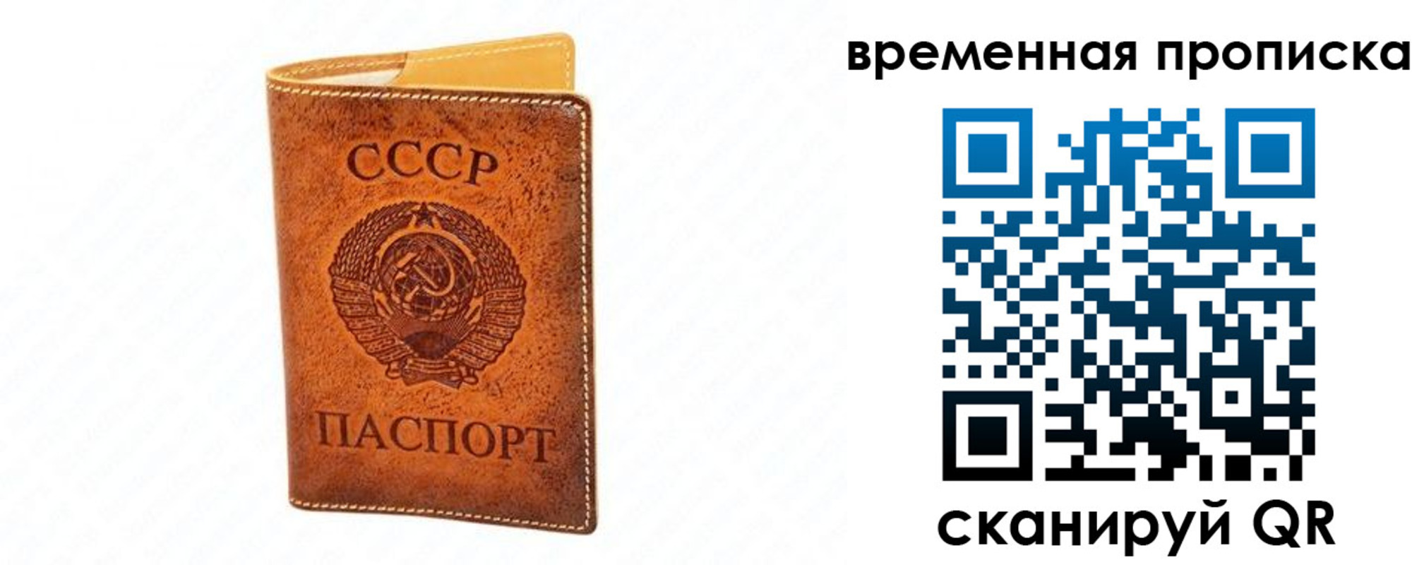 временная прописка в Мордовии